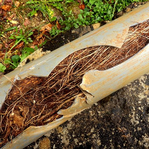 Same Day Drain Sewer & Rooter Pros Across Conway